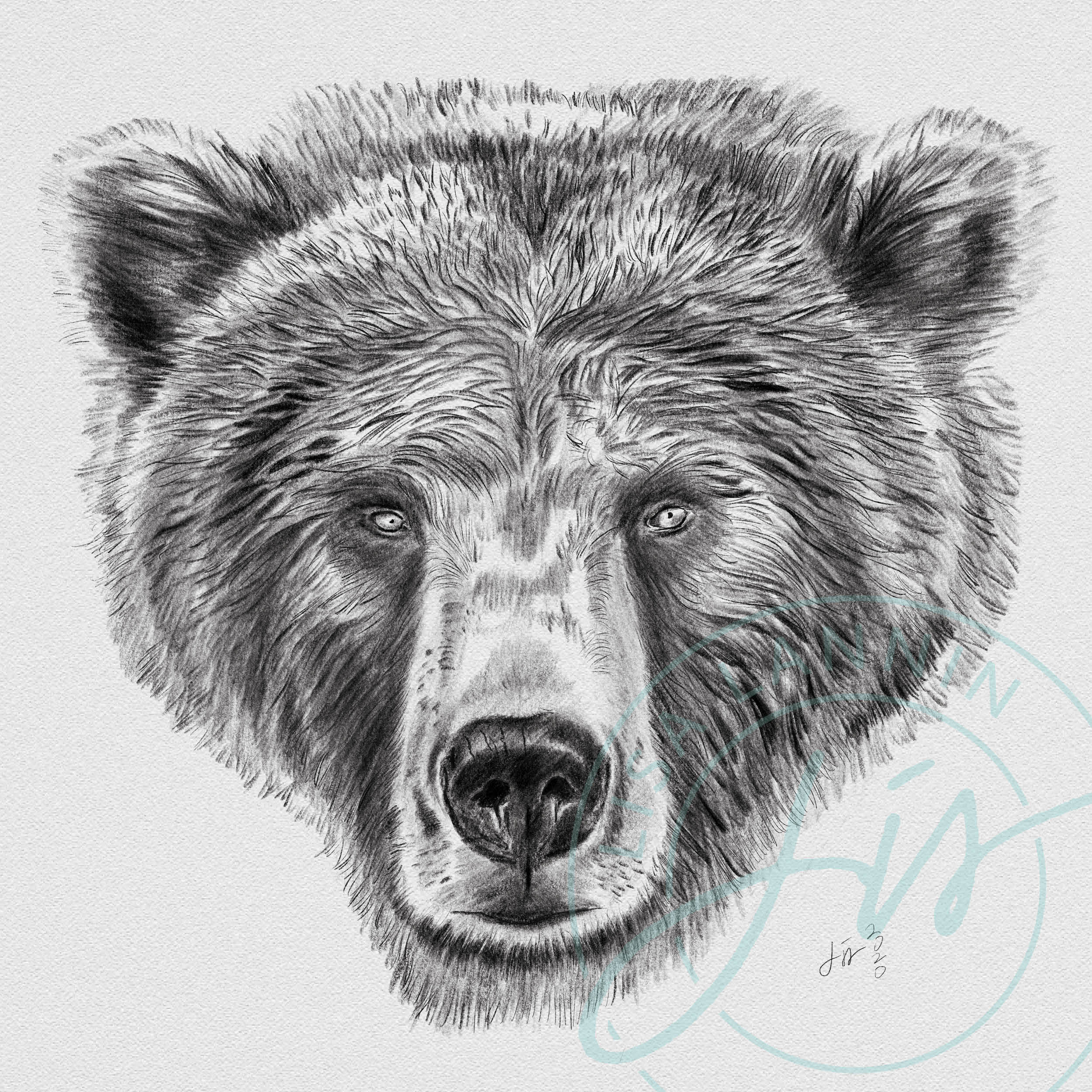 Grizzly Bear Face Outline Grizzly Bear Face Outline