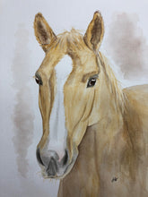 Load image into Gallery viewer, CUSTOM PET PORTRAIT