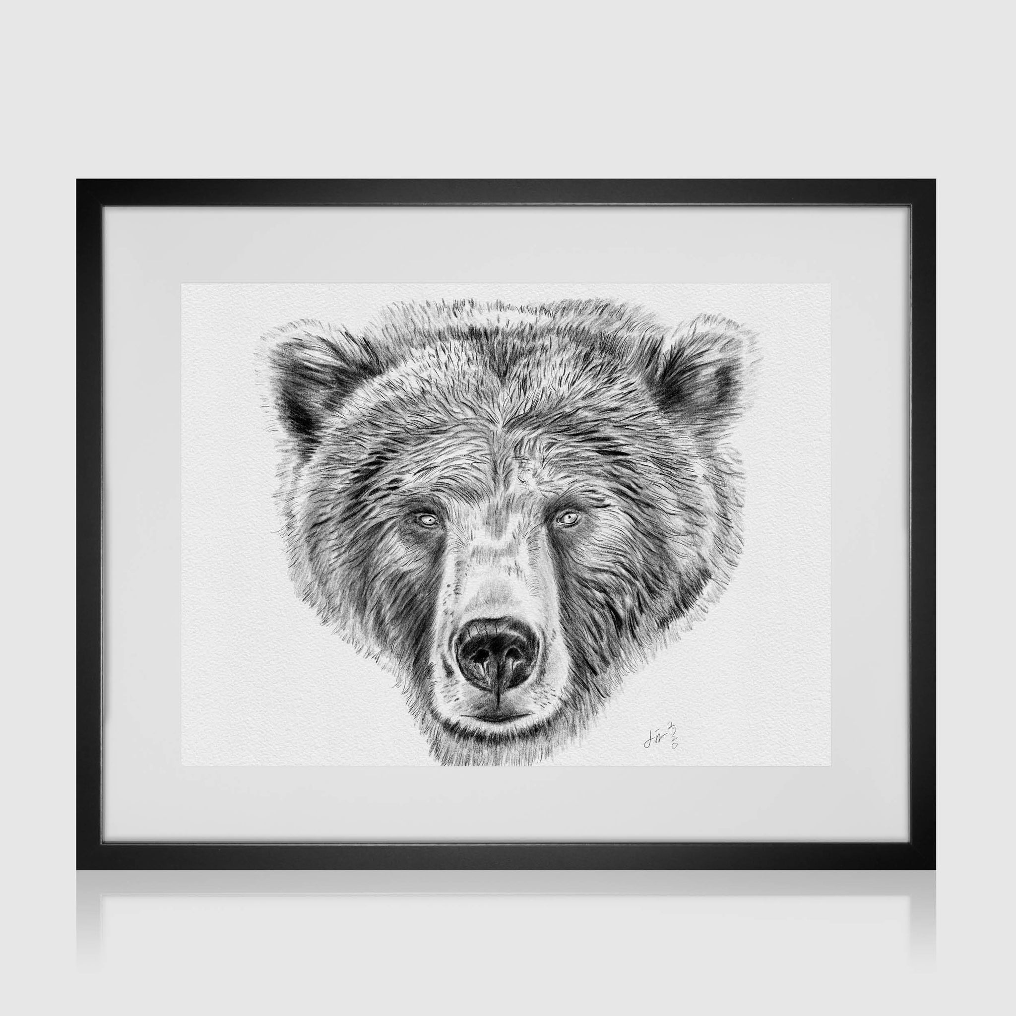 Grizzly Bear Face Outline