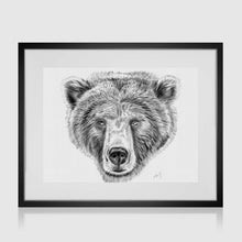 Load image into Gallery viewer, Bear face pencil portrait

