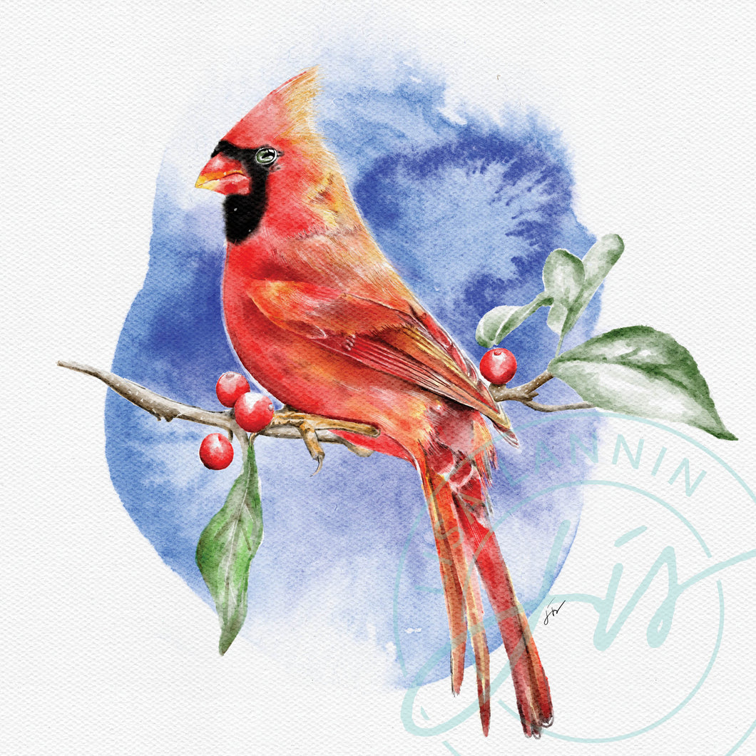 Cardinal - watercolour