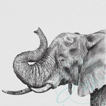 Load image into Gallery viewer, Elephant Profile Pencil Illustration
