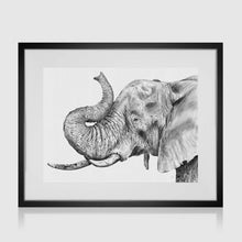 Load image into Gallery viewer, Elephant Profile Pencil Illustration
