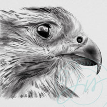 Load image into Gallery viewer, Hawk Profile Pencil Illustration
