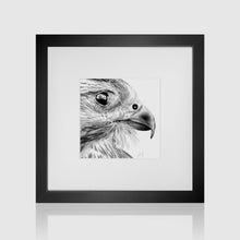 Load image into Gallery viewer, Hawk Profile Pencil Illustration
