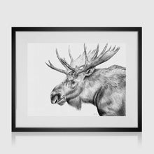 Load image into Gallery viewer, Moose Profile Pencil Illustration
