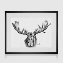 Load image into Gallery viewer, Moose Face Pencil Portrait
