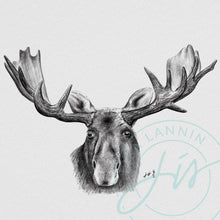 Load image into Gallery viewer, Moose Face Pencil Portrait
