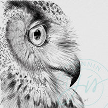 Load image into Gallery viewer, Owl Profile Pencil Illustration
