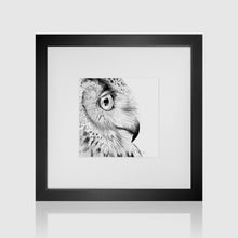 Load image into Gallery viewer, Owl Profile Pencil Illustration
