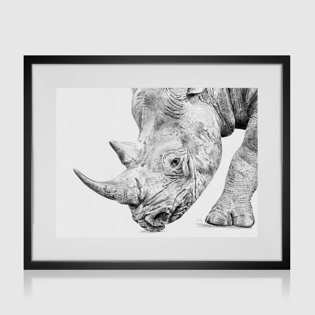 Rhino Profile Pencil Illustration