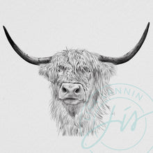 Load image into Gallery viewer, Scottish Cow Pencil Illustration
