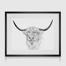 Load image into Gallery viewer, Scottish Cow Pencil Illustration

